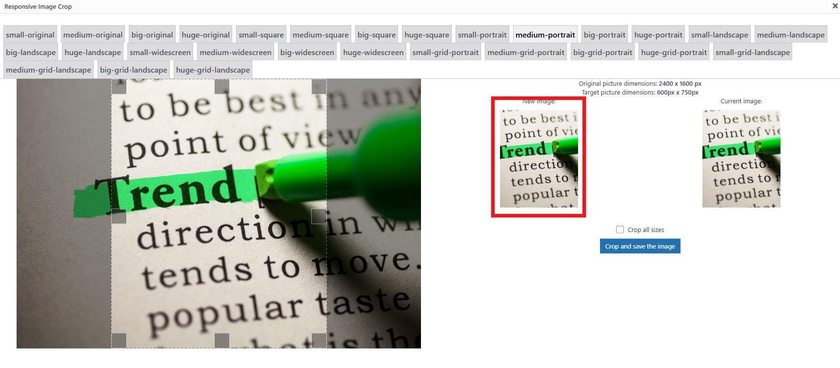 screenshot of an image cropping tool demonstrating a bad crop position